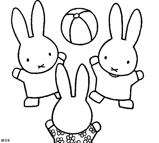 miffy005