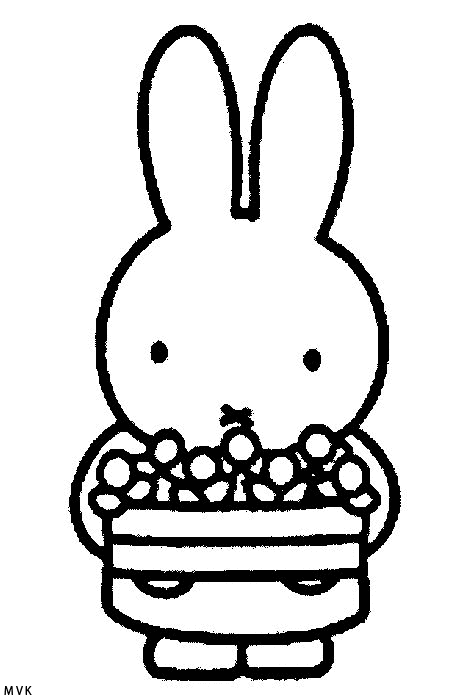 miffy007