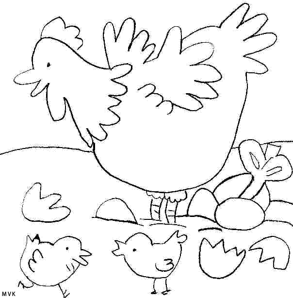bird005