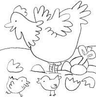A coloring page of bird