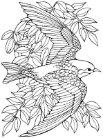 A coloring page of bird