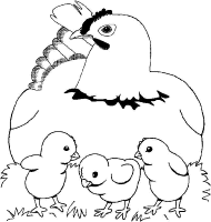 A coloring page of bird