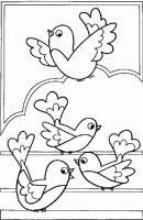 A coloring page of bird