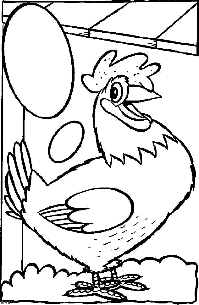 bird016