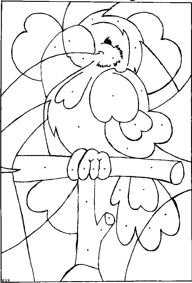 bird019