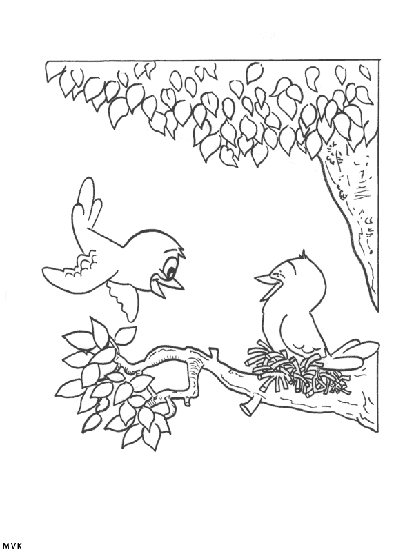 bird023