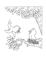 A coloring page of bird