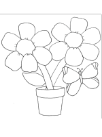 A coloring page of butterfly