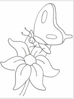 A coloring page of butterfly