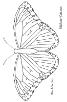 A coloring page of butterfly