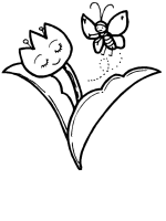 A coloring page of butterfly