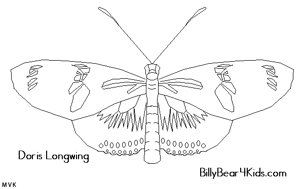 butterfly010