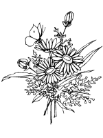A coloring page of butterfly