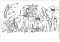 A coloring page of butterfly