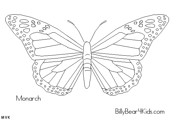 butterfly018