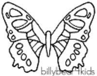 A coloring page of butterfly
