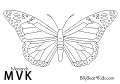 butterfly026