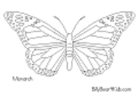 A coloring page of butterfly