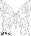 butterfly031