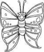 A coloring page of butterfly