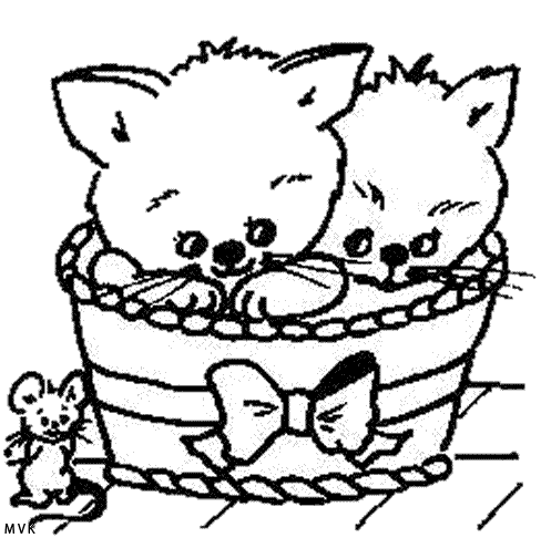 cat001
