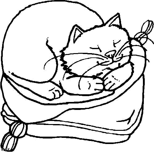 cat002