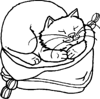 A coloring page of cat