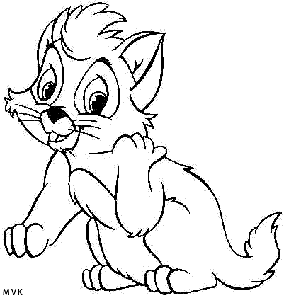 cat004