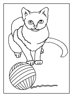 A coloring page of cat