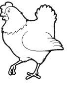 A coloring page of chicken