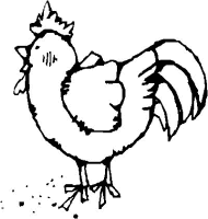 A coloring page of chicken