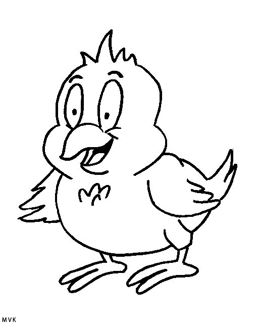 chicken017