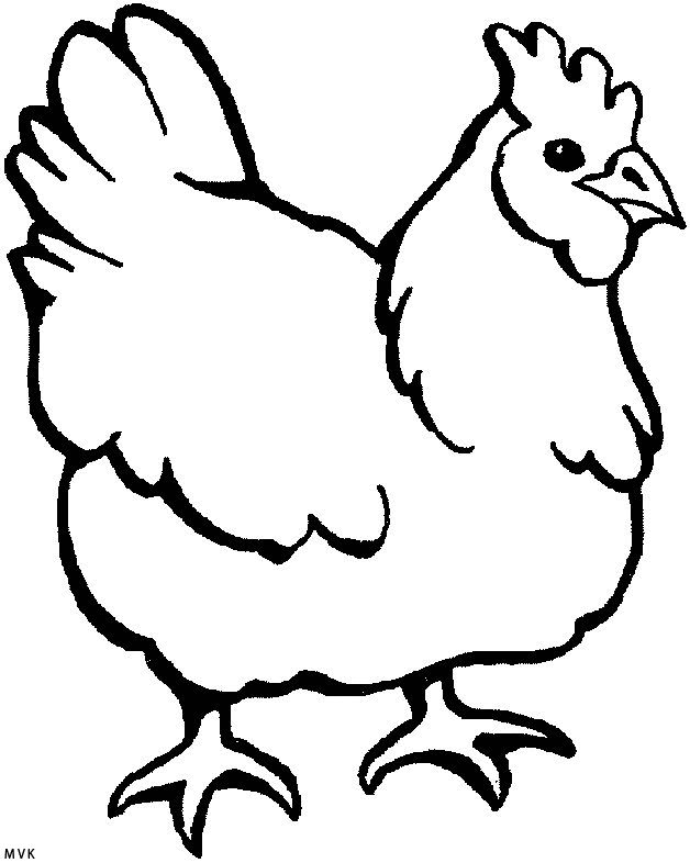 chicken019