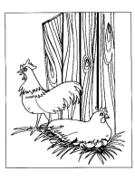 A coloring page of chicken
