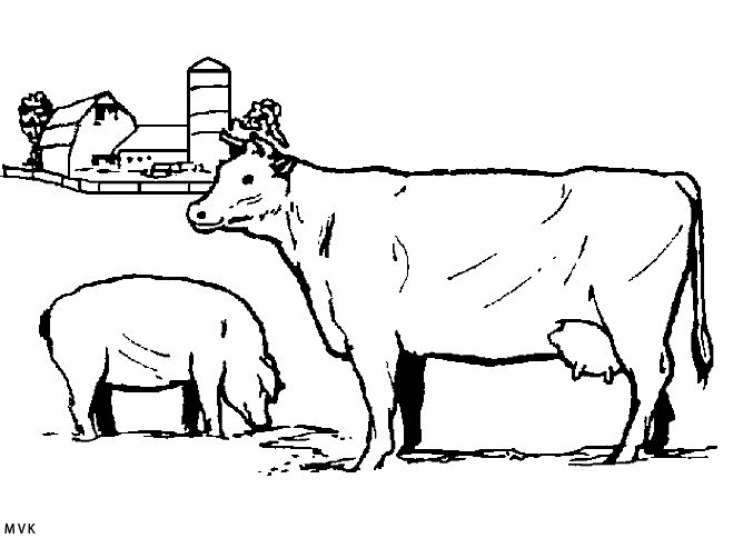 cow001