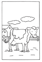A coloring page of cow