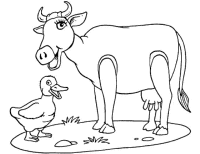 A coloring page of cow