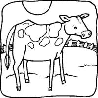 A coloring page of cow