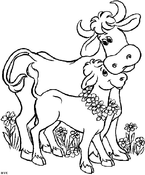 cow020