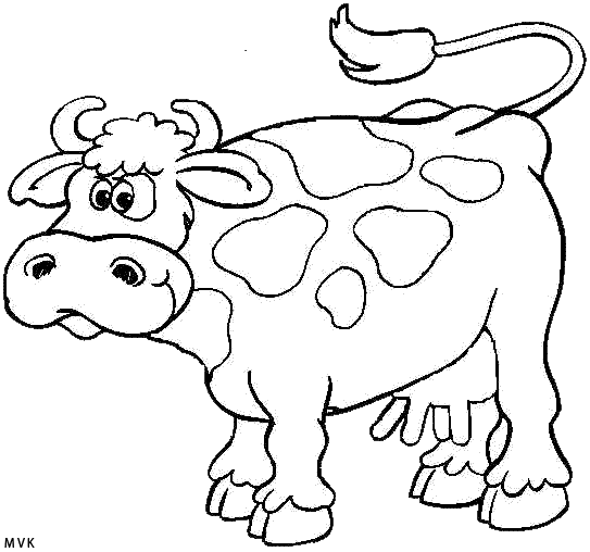 cow021