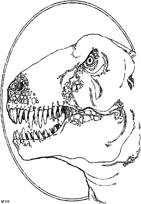 dino021