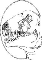 A coloring page of dino