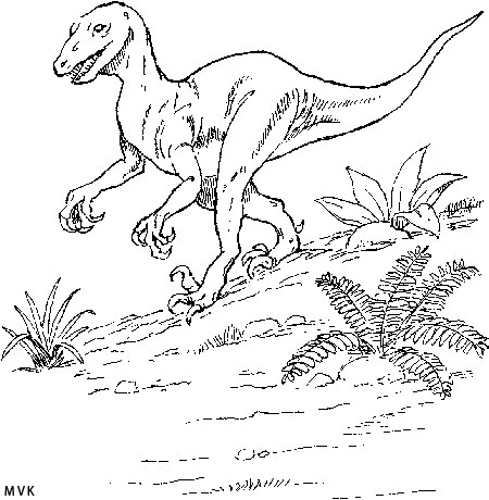 dino024