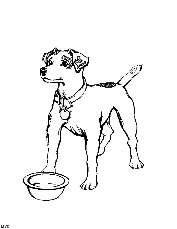 dog001