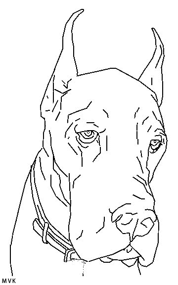 dog003