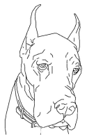 A coloring page of dog