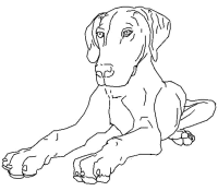 A coloring page of dog