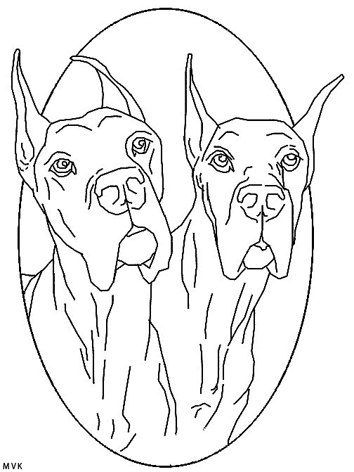 dog005