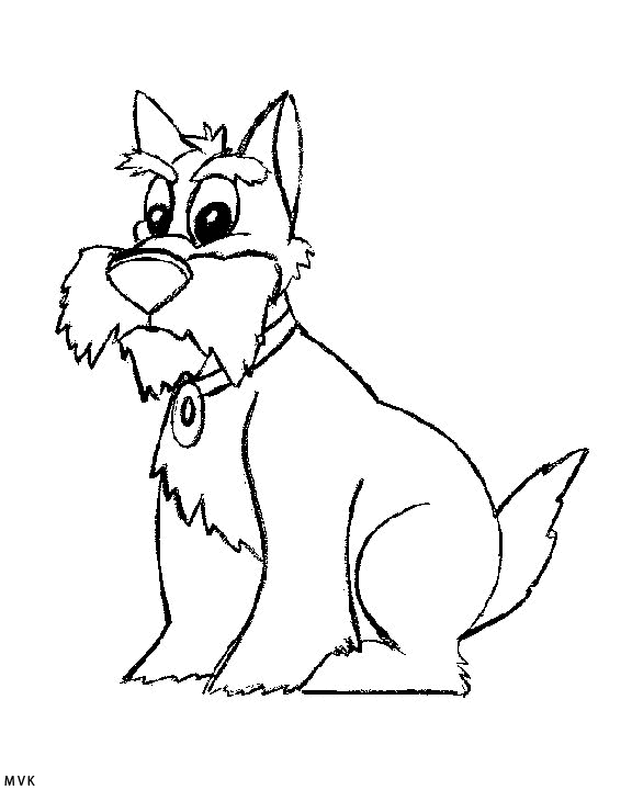 dog008