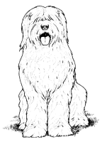 A coloring page of dog